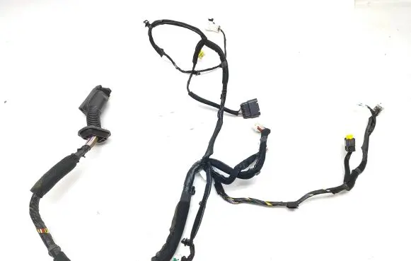 Front door wiring loom