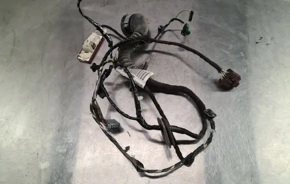 Peugeot 407 Front door wiring loom 9654466280 55PV2K109 PSA9654466280