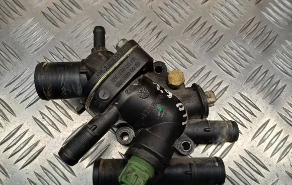 Thermostat/thermostat housing