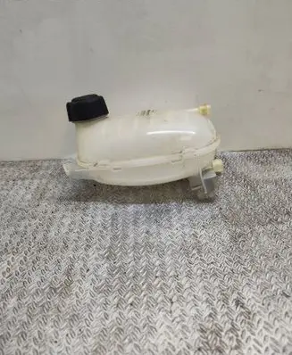 Renault Clio V Coolant expansion tank/reservoir 217102572R
