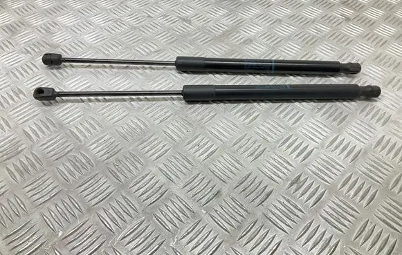 Tailgate/trunk strut/damper