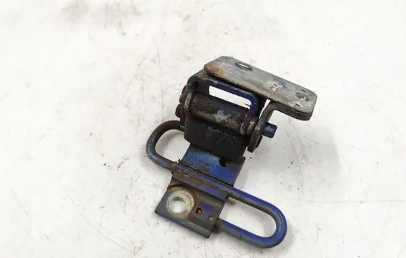 Rear door lower hinge