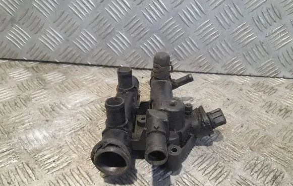 Thermostat/thermostat housing