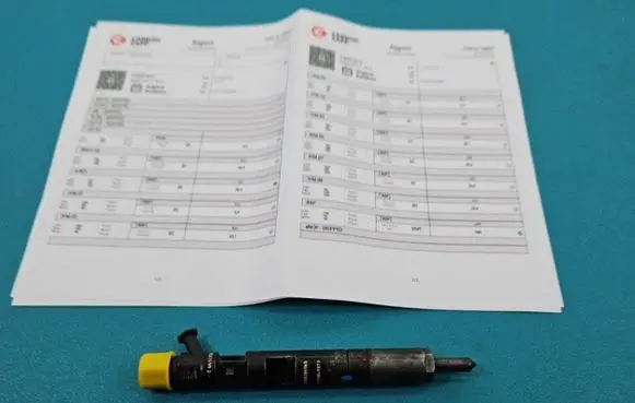 Renault Megane II Fuel injector EJBR01801Z IMPRK1439404