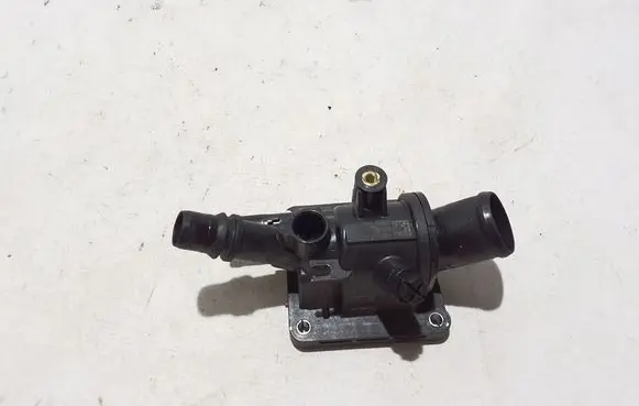 Thermostat/thermostat housing