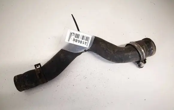 Engine coolant pipe/hose