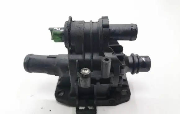 Thermostat/thermostat housing
