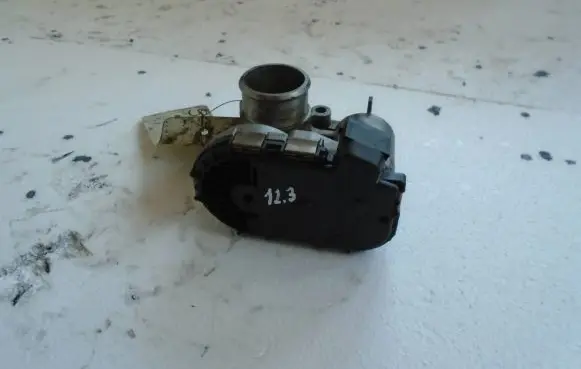 Smart Roadster Throttle body valve 0205003056