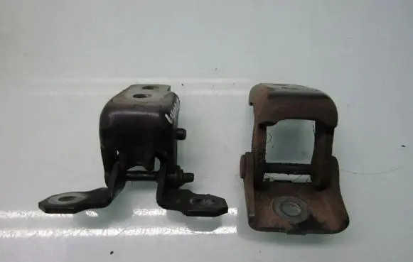 Renault Scenic III - Grand scenic III Rear door hinge set 
