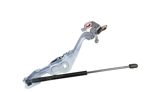 Tailgate/trunk/boot hinge