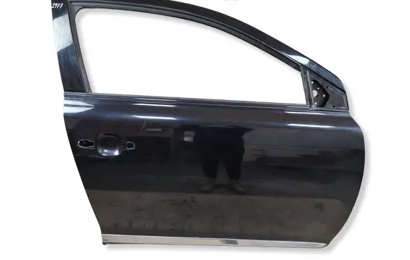 Suzuki Kizashi Front door 