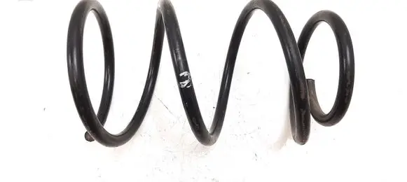 Front coil spring