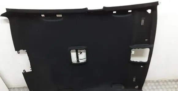 BMW 3 E90 E91 Headlining 8036264