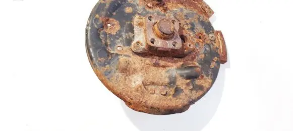 Renault Scenic I Stub axle 