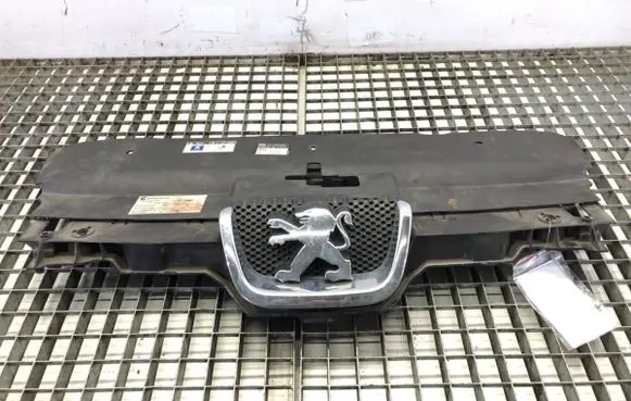 Peugeot 407 Front grill