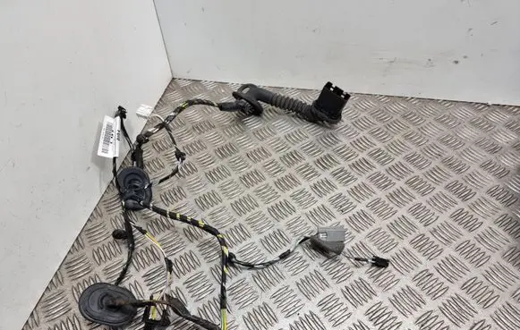 Ford C-MAX I Front door wiring loom 3M5T14K138AFF