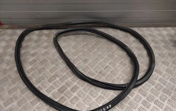 Audi Q7 4L Front door rubber seal NERA
