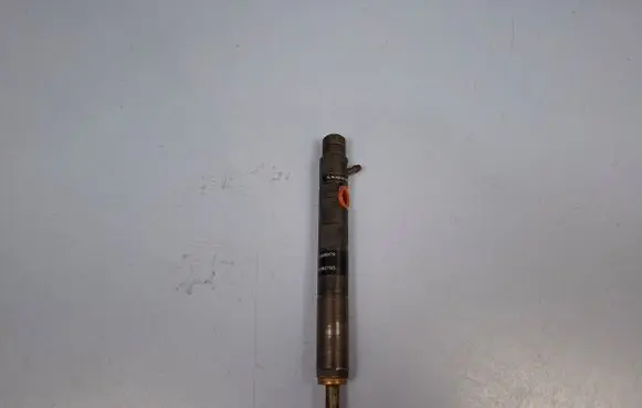 Renault Kangoo II Fuel injector 28237259 1823JF26W03 166000897R