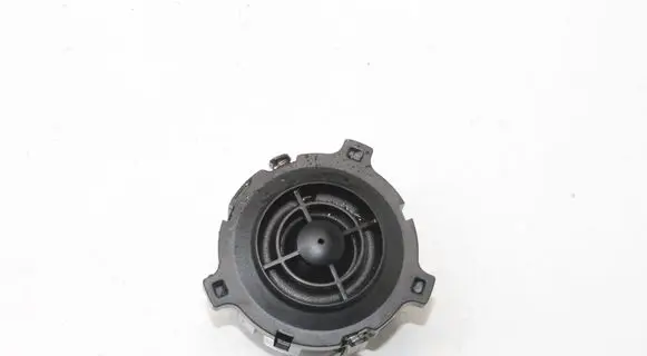 Volkswagen T-Roc Front door speaker 2GA035411