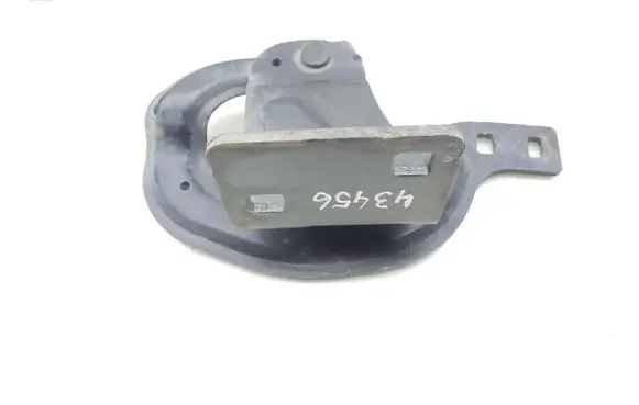 Tailgate/trunk/boot hinge
