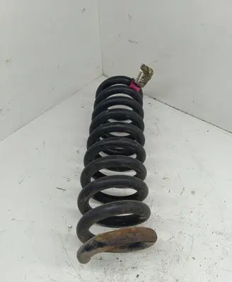 Chrysler 300 - 300C Rear coil spring 04895496AB
