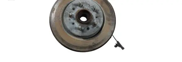 Rear wheel hub spindle/knuckle