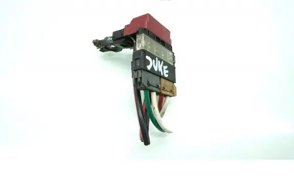 Nissan Juke I F15 Car battery MMAUTKO24056
