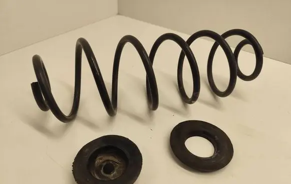 Rear coil spring