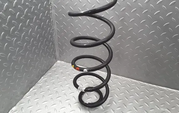 Citroen Berlingo Rear coil spring 9824895380