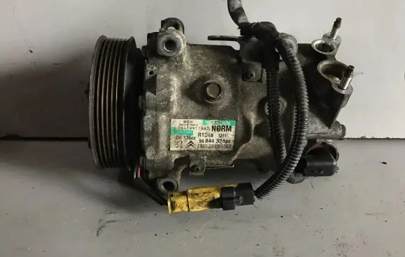Peugeot Partner Air conditioning (A/C) compressor (pump) R134A1341F