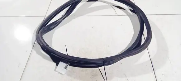 Citroen C3 Rubber seal front coupe door 