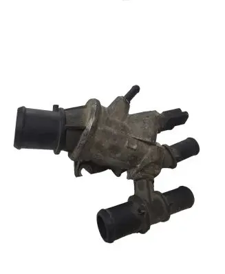 Thermostat/thermostat housing