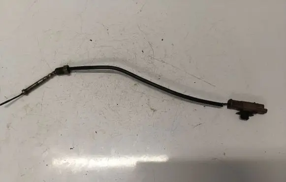 Citroen Berlingo Exhaust gas temperature sensor 9665090280