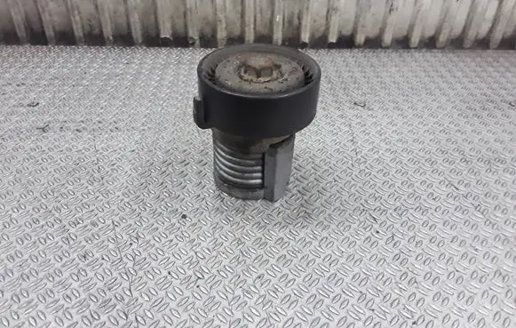 Skoda Fabia Mk1 (6Y) Generator/alternator belt tensioner 030145299C