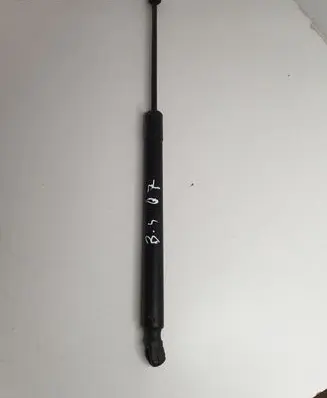 Tailgate/trunk strut/damper