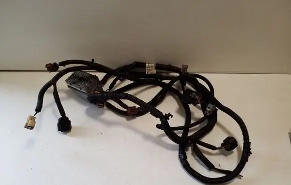 Other wiring loom