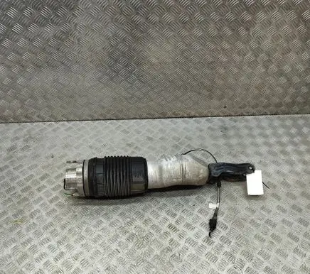 Porsche Panamera (971) Air suspension front shock absorber 971616038F