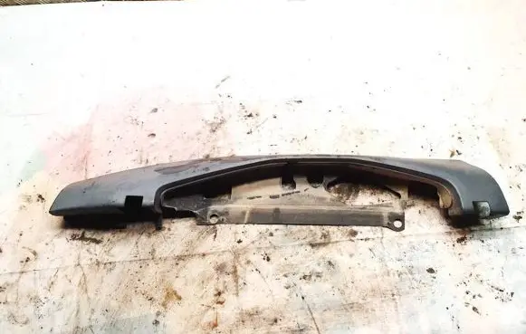Rear/tail light trim molding