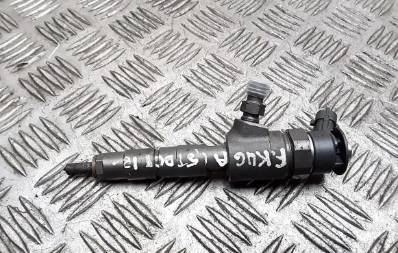 Ford Kuga II Fuel injector 0445110489 CV6Q9F593AA