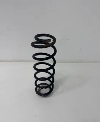 Rear coil spring