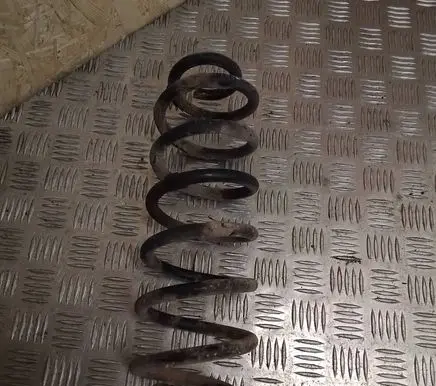 Volkswagen PASSAT B6 Rear coil spring