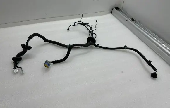 Rear door wiring loom