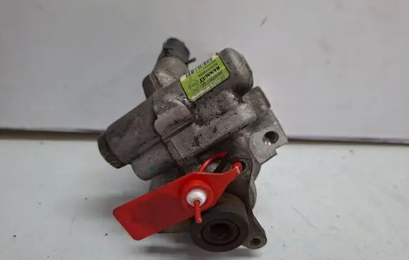 Renault Laguna III Power steering pump S27612251 8200319066