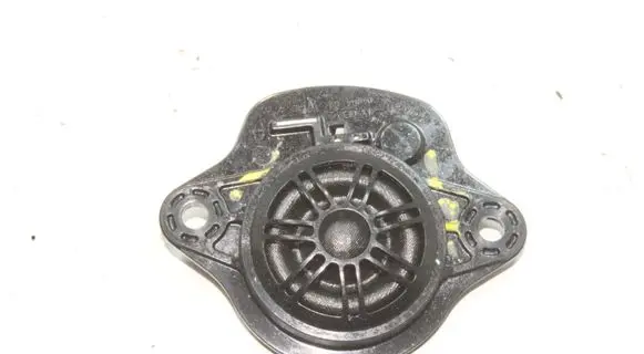 Tesla Model 3 Panel speaker 109873700B