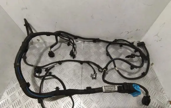 Maserati Levante Other wiring loom 06700323660
