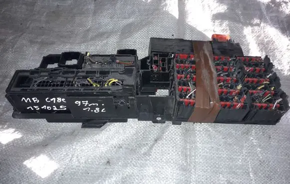 Mercedes-Benz C W202 Fuse module 2025455240