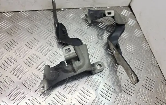 Engine bonnet/hood hinges