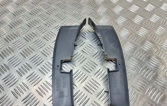 Rear/tail light trim molding