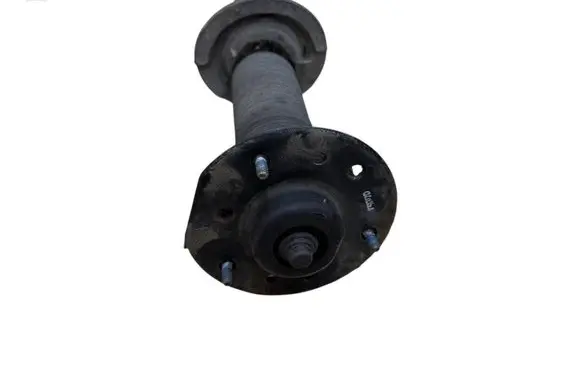 Chevrolet Captiva Front shock absorber/damper 8411 RKGA0U
