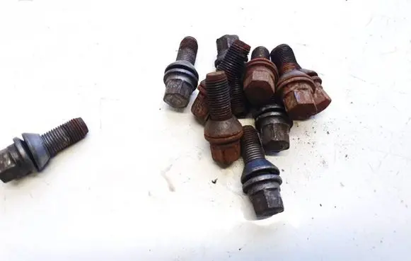 Renault Laguna III Nuts/bolts 